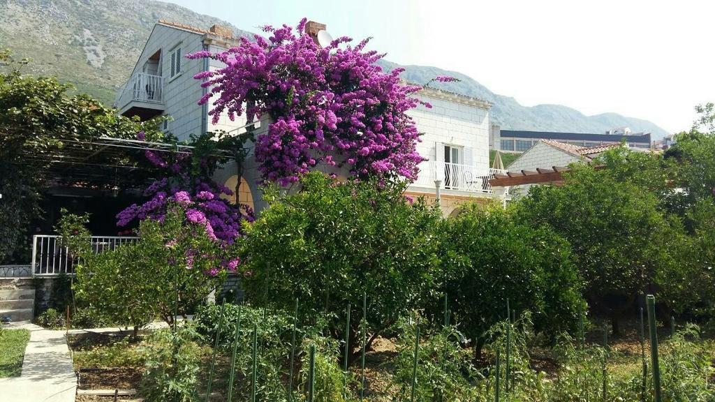Apartments Husanovic Mokošica 외부 사진