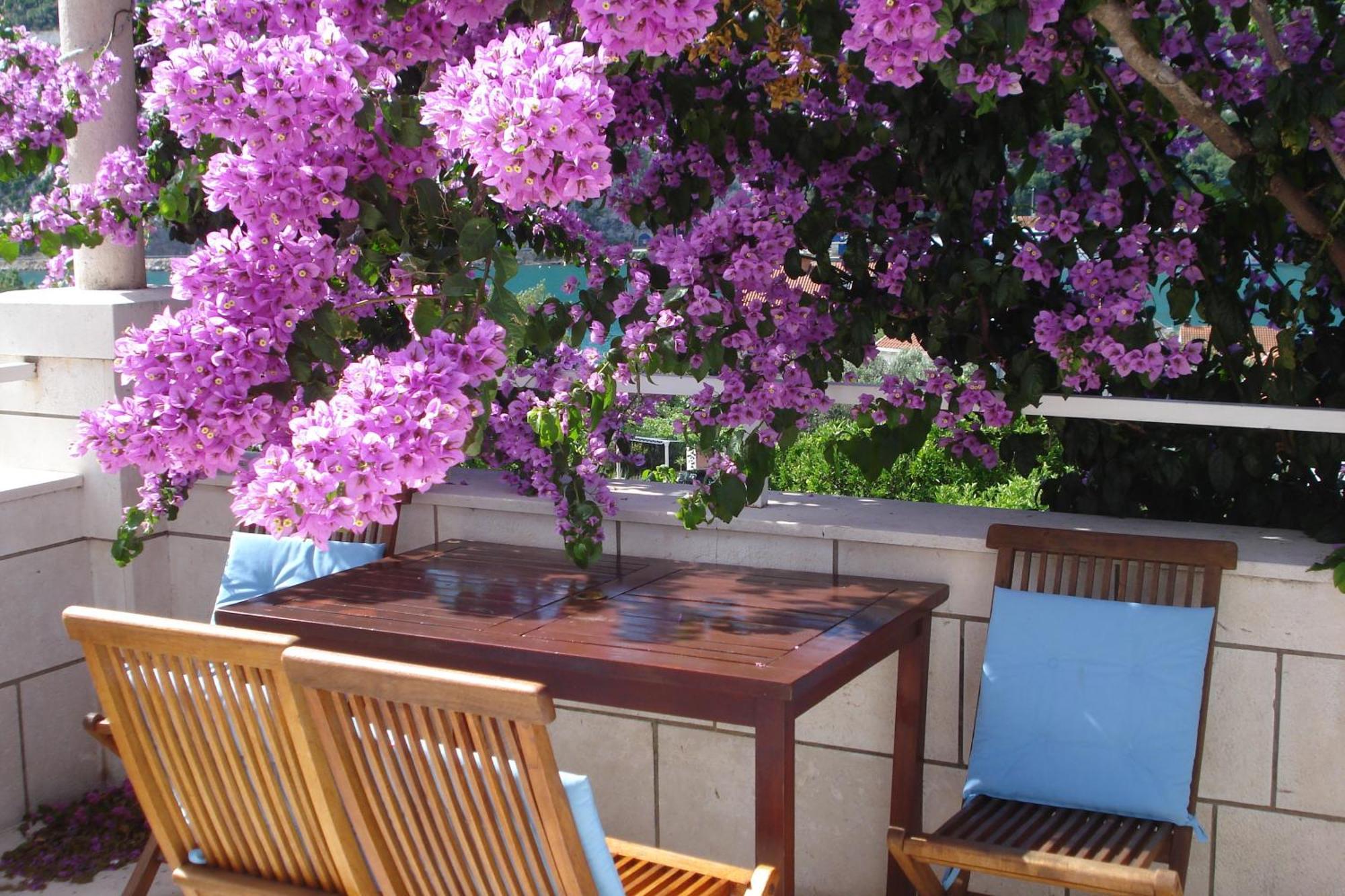 Apartments Husanovic Mokošica 외부 사진