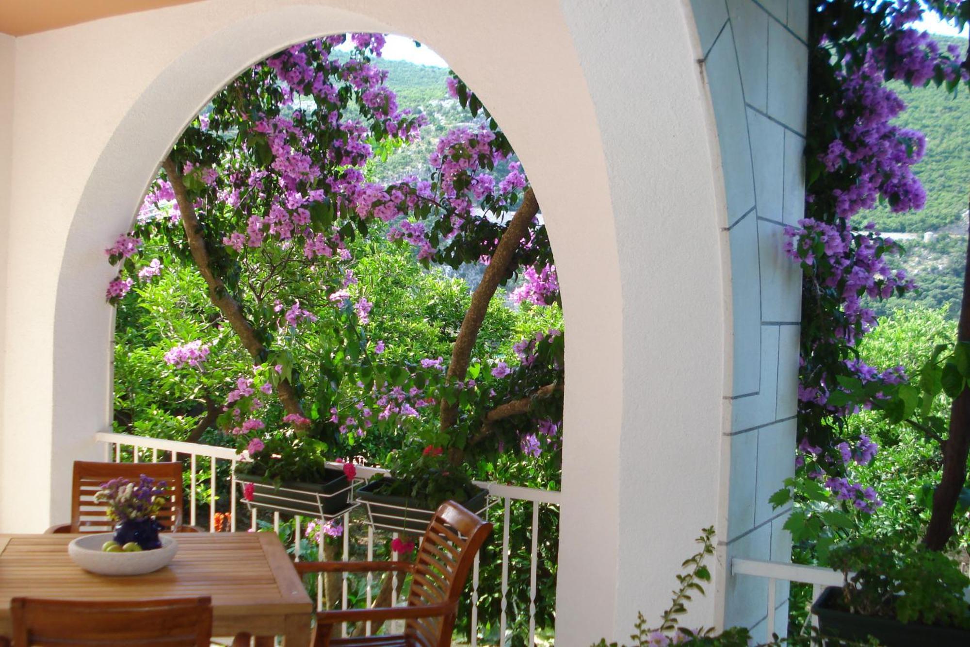 Apartments Husanovic Mokošica 외부 사진