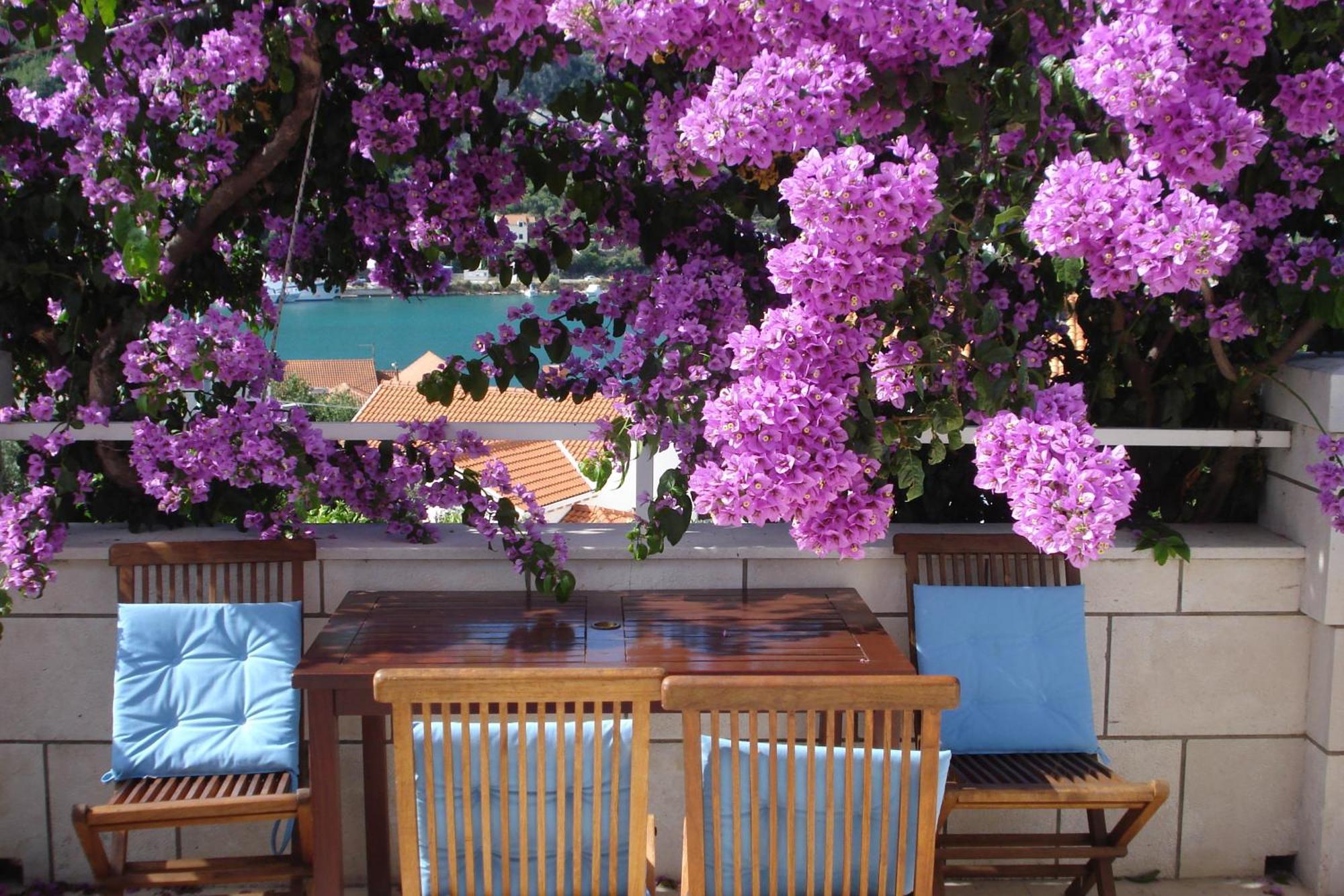 Apartments Husanovic Mokošica 외부 사진