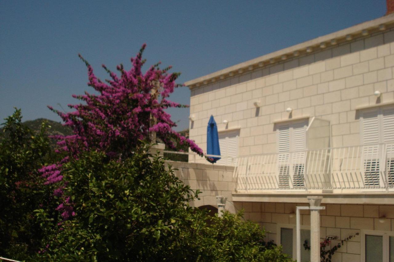 Apartments Husanovic Mokošica 객실 사진